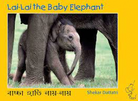 Lai-Lai the baby elephant