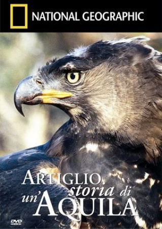 ARTIGLIO, storia di un'aquila [Videoregistrazione