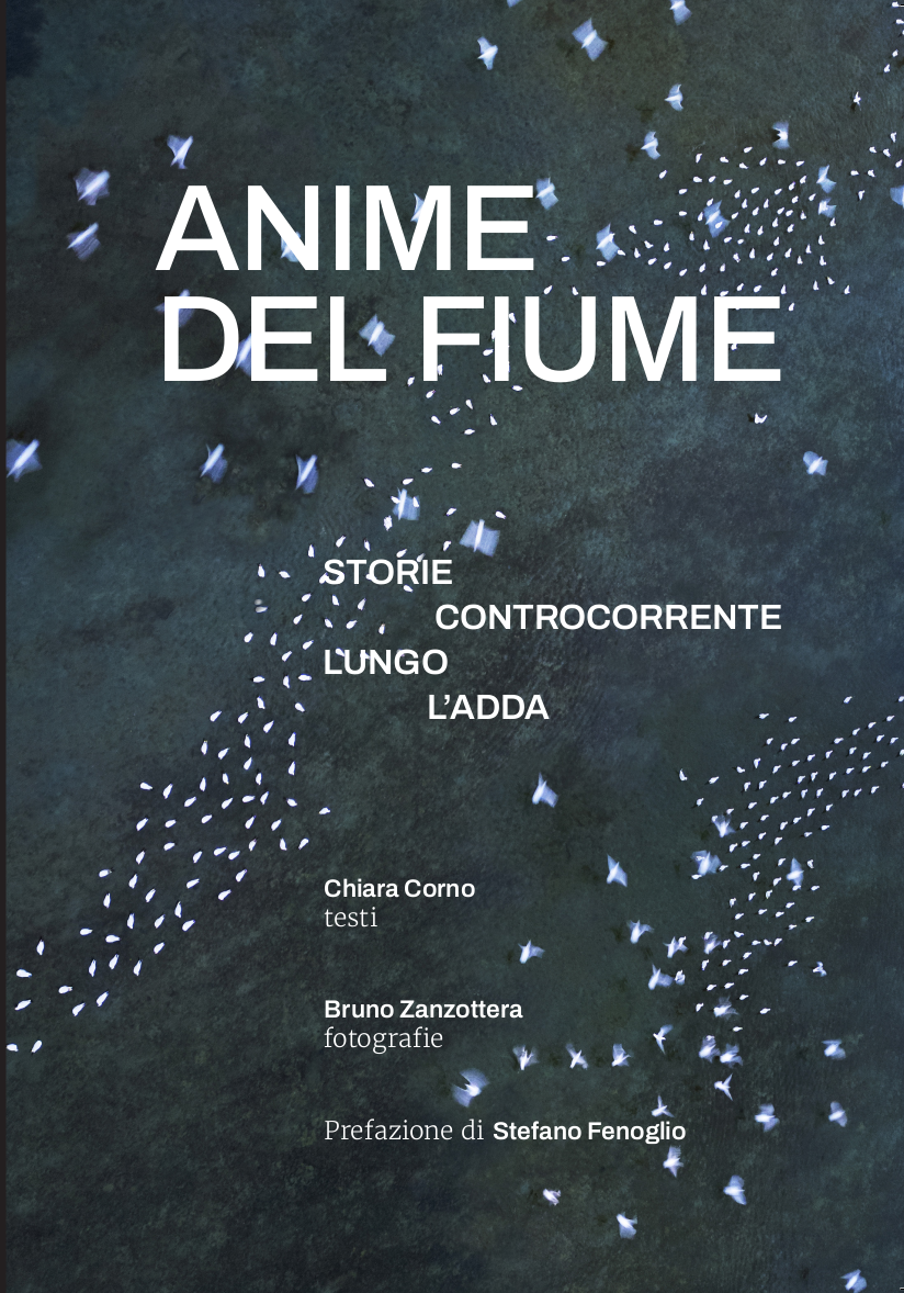 Anime del fiume