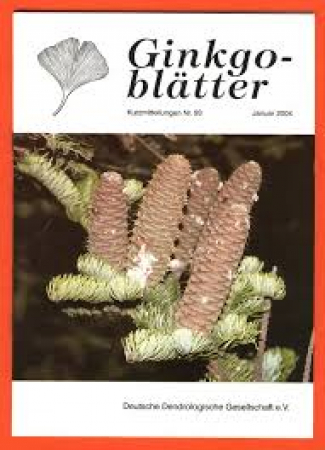 Ginkgoblätter