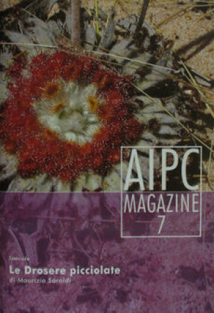 AIPC magazine