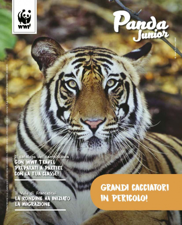 Panda junior