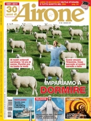 Airone