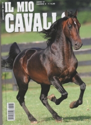 Il mio cavallo