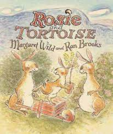 Rosie and Tortoise